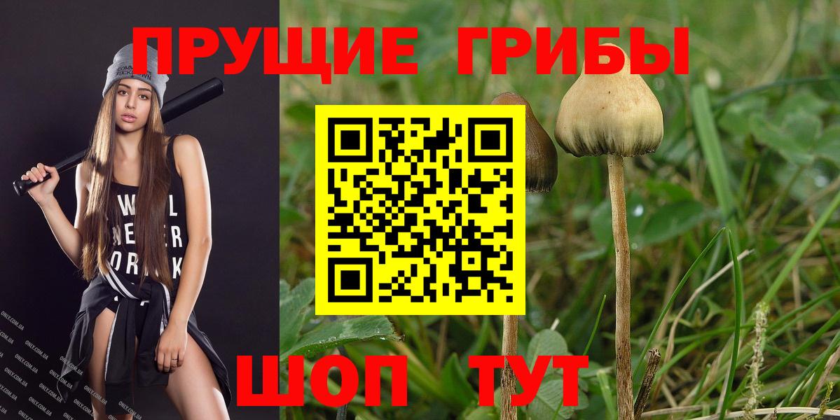 Псилоцибиновые грибы мицелий Выкса